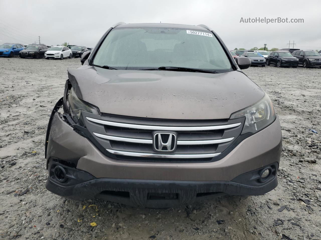 2012 Honda Cr-v Exl Brown vin: 5J6RM4H75CL030533