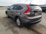 2012 Honda Cr-v Exl Brown vin: 5J6RM4H76CL044215