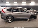 2012 Honda Cr-v Ex-l Gray vin: 5J6RM4H76CL070166