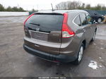 2013 Honda Cr-v Ex-l Brown vin: 5J6RM4H76DL041073