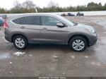 2013 Honda Cr-v Ex-l Brown vin: 5J6RM4H76DL041073