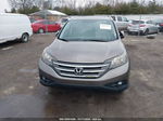 2013 Honda Cr-v Ex-l Brown vin: 5J6RM4H76DL041073