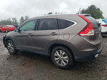 2013 Honda Cr-v Exl Gray vin: 5J6RM4H76DL066068