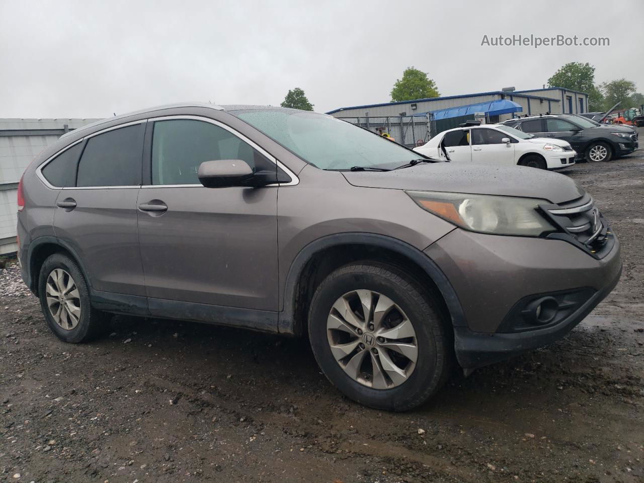 2013 Honda Cr-v Exl Gray vin: 5J6RM4H76DL066068