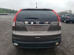 2013 Honda Cr-v Exl Gray vin: 5J6RM4H76DL066068