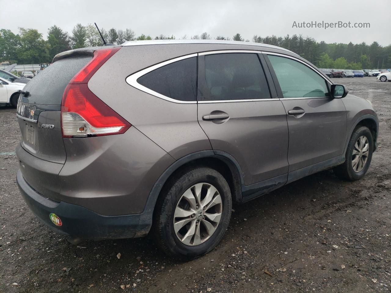 2013 Honda Cr-v Exl Gray vin: 5J6RM4H76DL066068