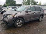 2013 Honda Cr-v Exl Gray vin: 5J6RM4H76DL066068