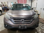 2012 Honda Cr-v Exl Brown vin: 5J6RM4H77CL012874