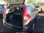 2012 Honda Cr-v Ex-l Brown vin: 5J6RM4H77CL019114