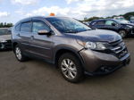 2013 Honda Cr-v Exl Gray vin: 5J6RM4H77DL028154