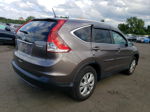 2013 Honda Cr-v Exl Серый vin: 5J6RM4H77DL028154