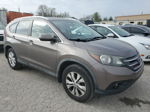 2012 Honda Cr-v Exl Желто-коричневый vin: 5J6RM4H78CL045592