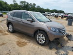 2013 Honda Cr-v Exl Brown vin: 5J6RM4H78DL026140