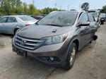 2012 Honda Cr-v Exl Gray vin: 5J6RM4H79CL017039