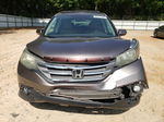 2013 Honda Cr-v Exl Gray vin: 5J6RM4H79DL040032