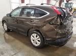 2013 Honda Cr-v Exl Коричневый vin: 5J6RM4H79DL049328