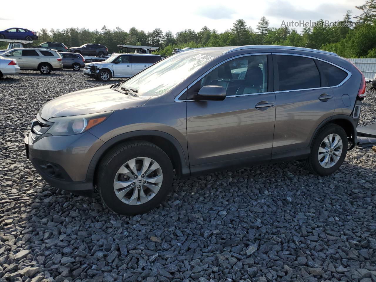 2013 Honda Cr-v Exl Gray vin: 5J6RM4H79DL065206