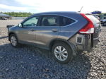 2013 Honda Cr-v Exl Gray vin: 5J6RM4H79DL065206