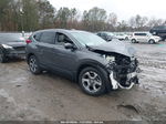 2019 Honda Cr-v Ex Gray vin: 5J6RW1H55KA043526