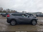 2019 Honda Cr-v Ex Gray vin: 5J6RW1H55KA043526