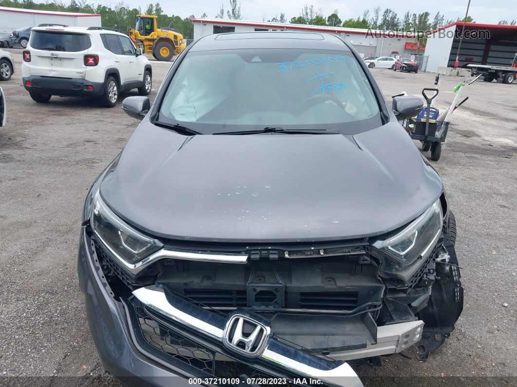 2019 Honda Cr-v Ex Gray vin: 5J6RW1H56KA018148