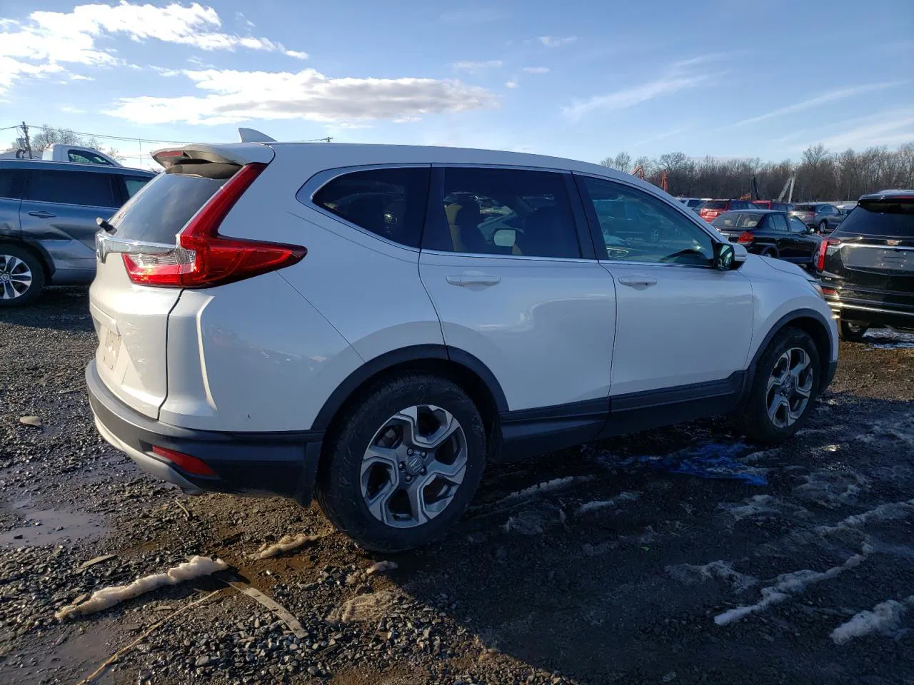 2019 Honda Cr-v Ex Белый vin: 5J6RW1H59KA017768