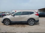 2019 Honda Cr-v Ex Tan vin: 5J6RW1H59KL001090