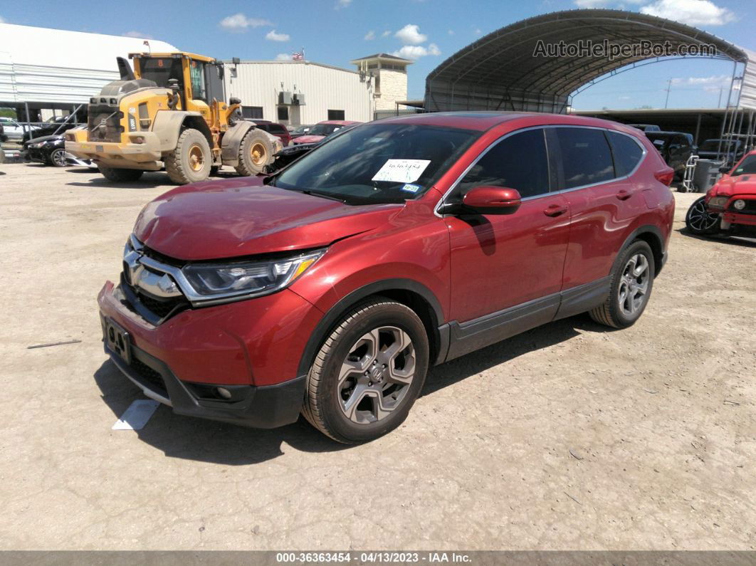 2019 Honda Cr-v Ex Orange vin: 5J6RW1H5XKL004970