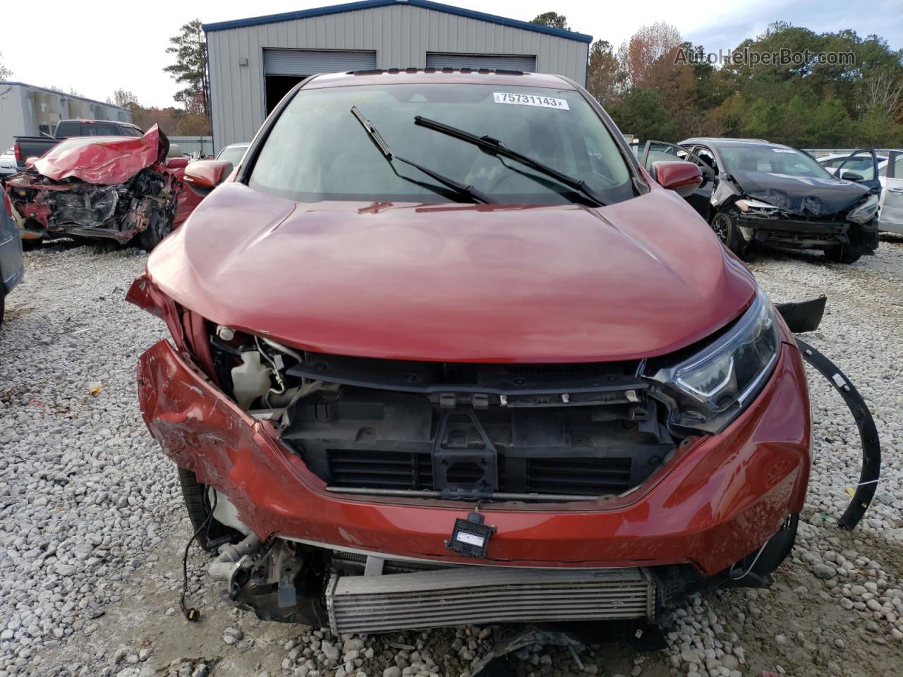 2018 Honda Cr-v Exl Red vin: 5J6RW1H81JL007376