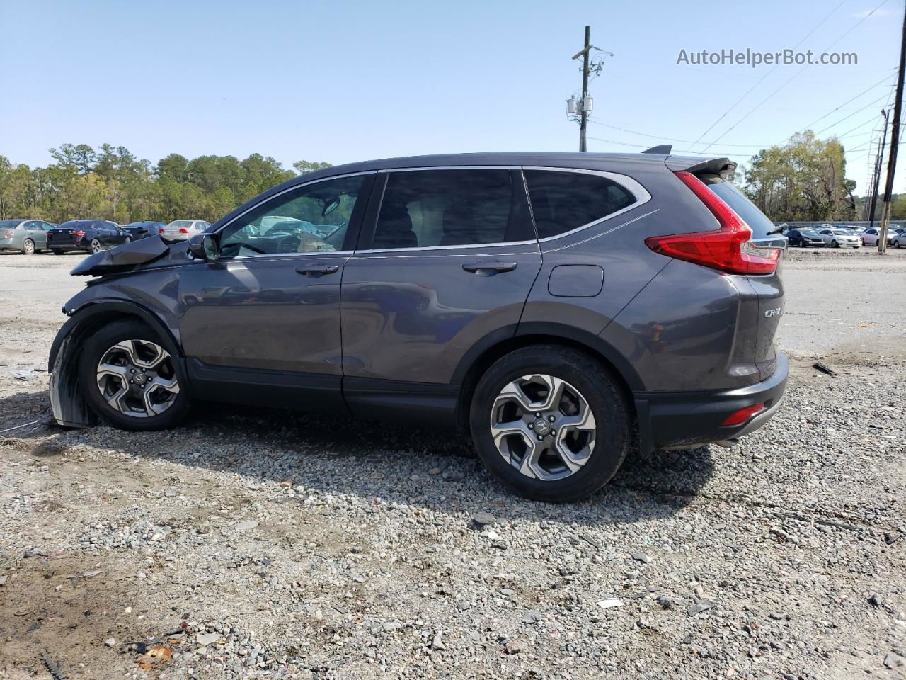 2019 Honda Cr-v Exl Gray vin: 5J6RW1H81KA014941