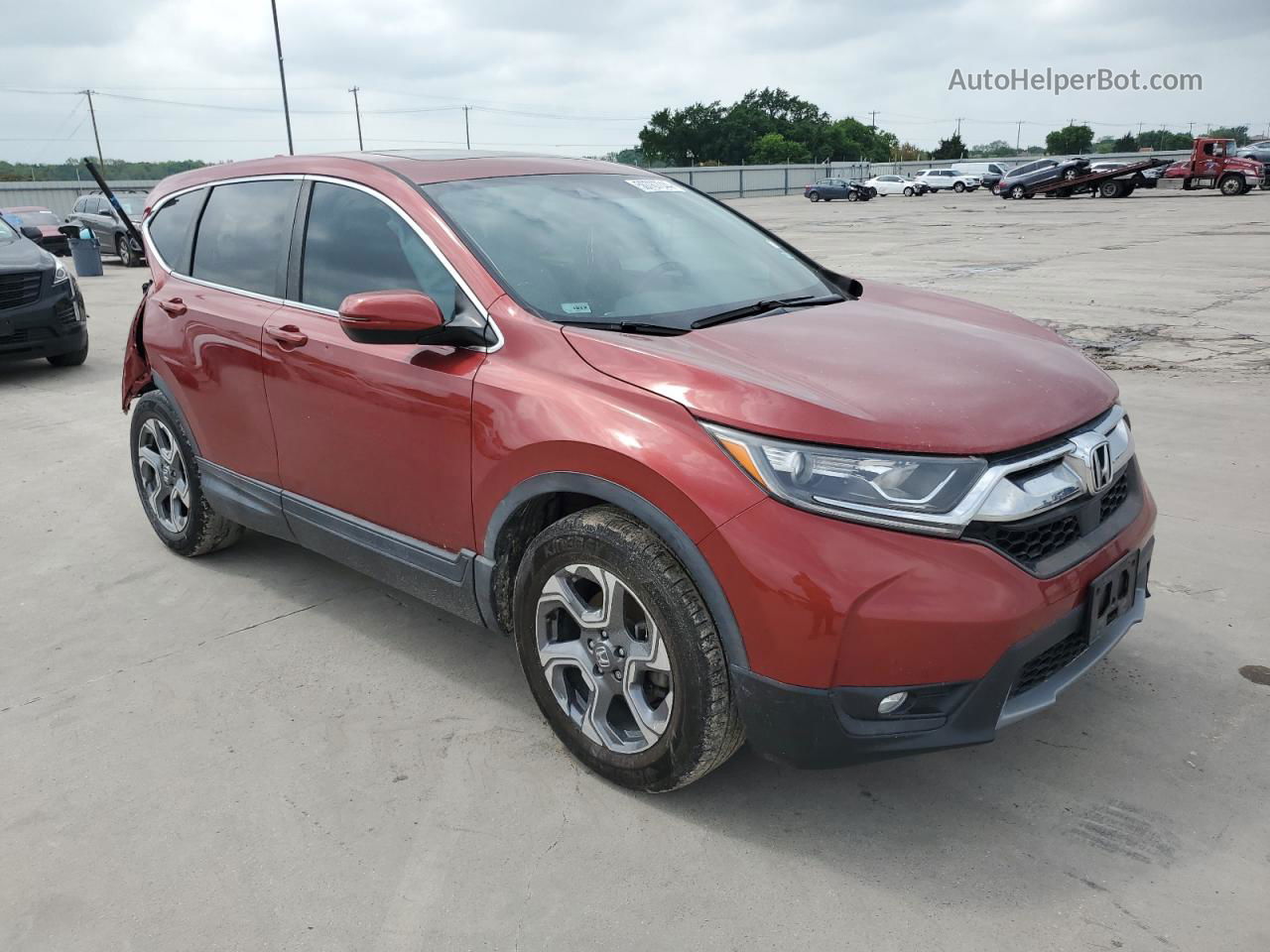 2019 Honda Cr-v Exl Красный vin: 5J6RW1H83KL003038