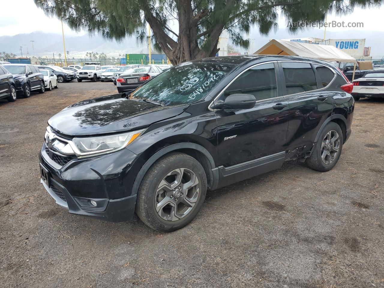 2019 Honda Cr-v Exl Black vin: 5J6RW1H86KA007449