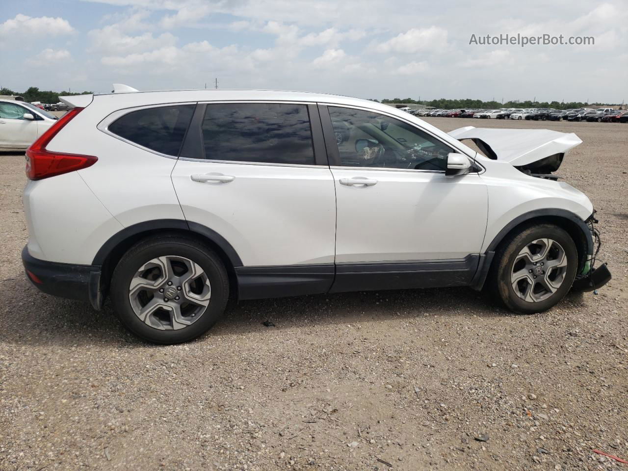 2019 Honda Cr-v Exl White vin: 5J6RW1H87KA016533