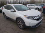 2019 Honda Cr-v Ex White vin: 5J6RW2H50KA012884