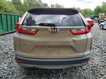 2019 Honda Cr-v Ex Бежевый vin: 5J6RW2H51KL018357