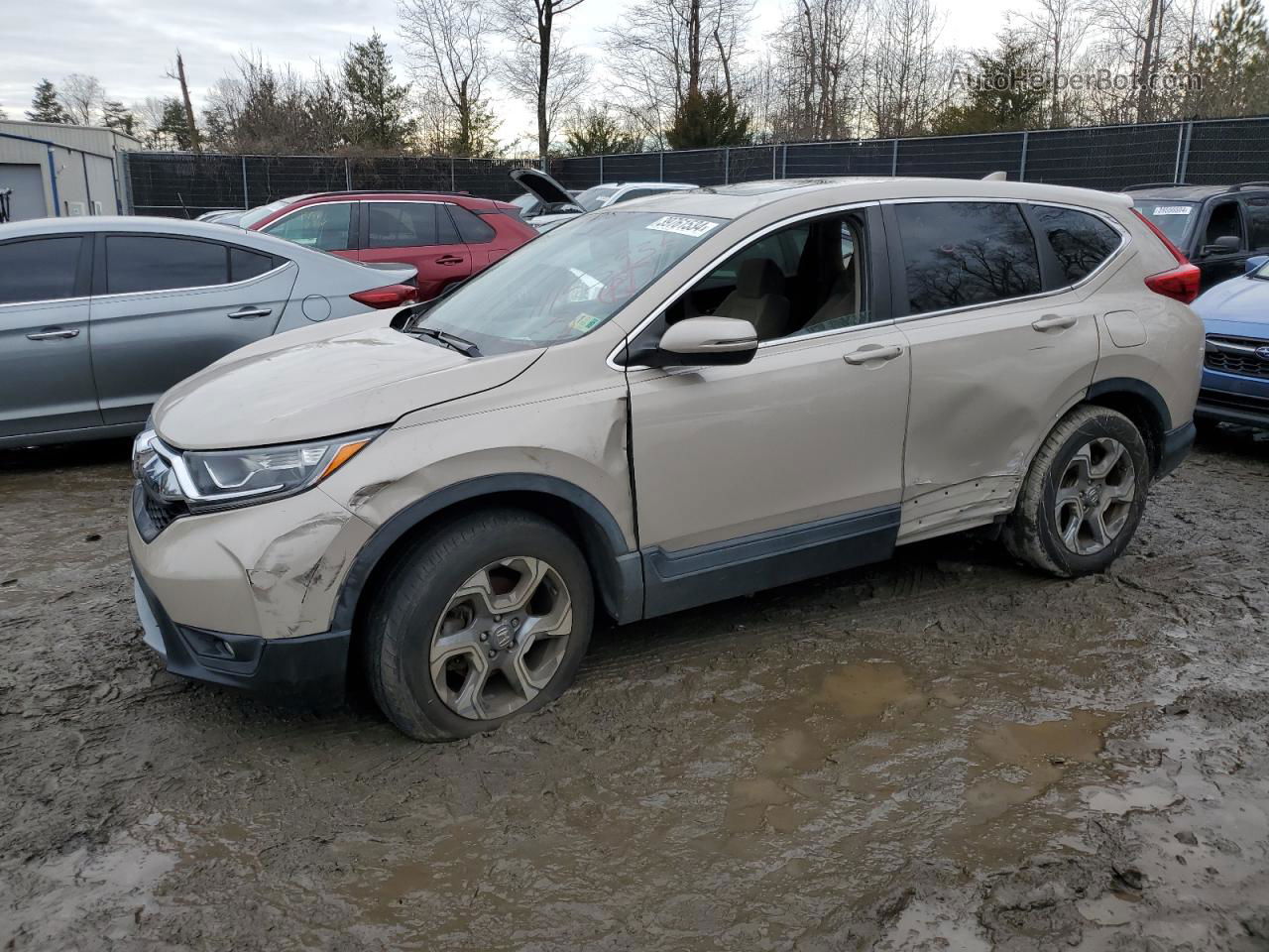 2017 Honda Cr-v Ex Beige vin: 5J6RW2H56HL077820