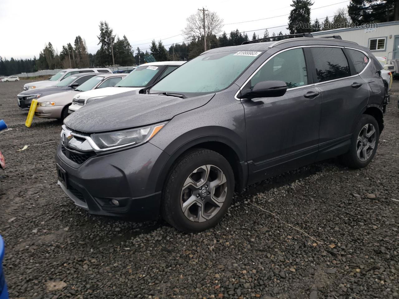 2019 Honda Cr-v Ex Gray vin: 5J6RW2H57KA011179