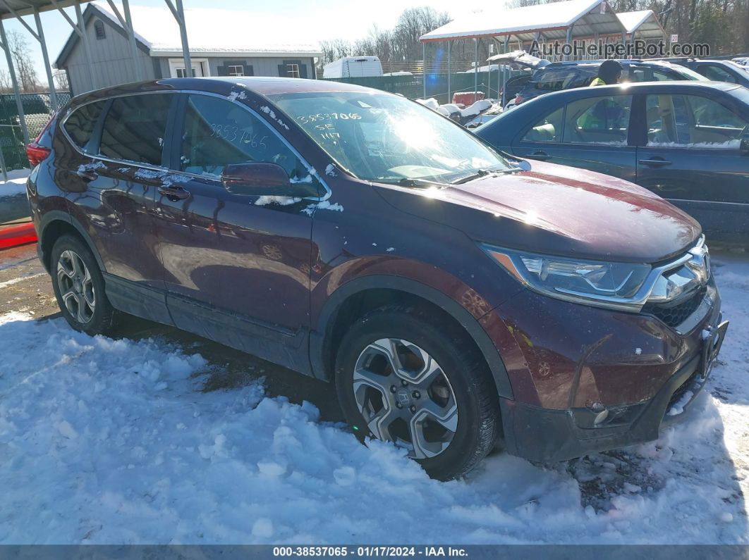 2019 Honda Cr-v Ex Burgundy vin: 5J6RW2H57KL003586