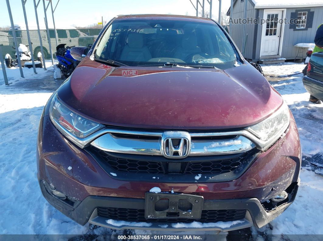 2019 Honda Cr-v Ex Burgundy vin: 5J6RW2H57KL003586