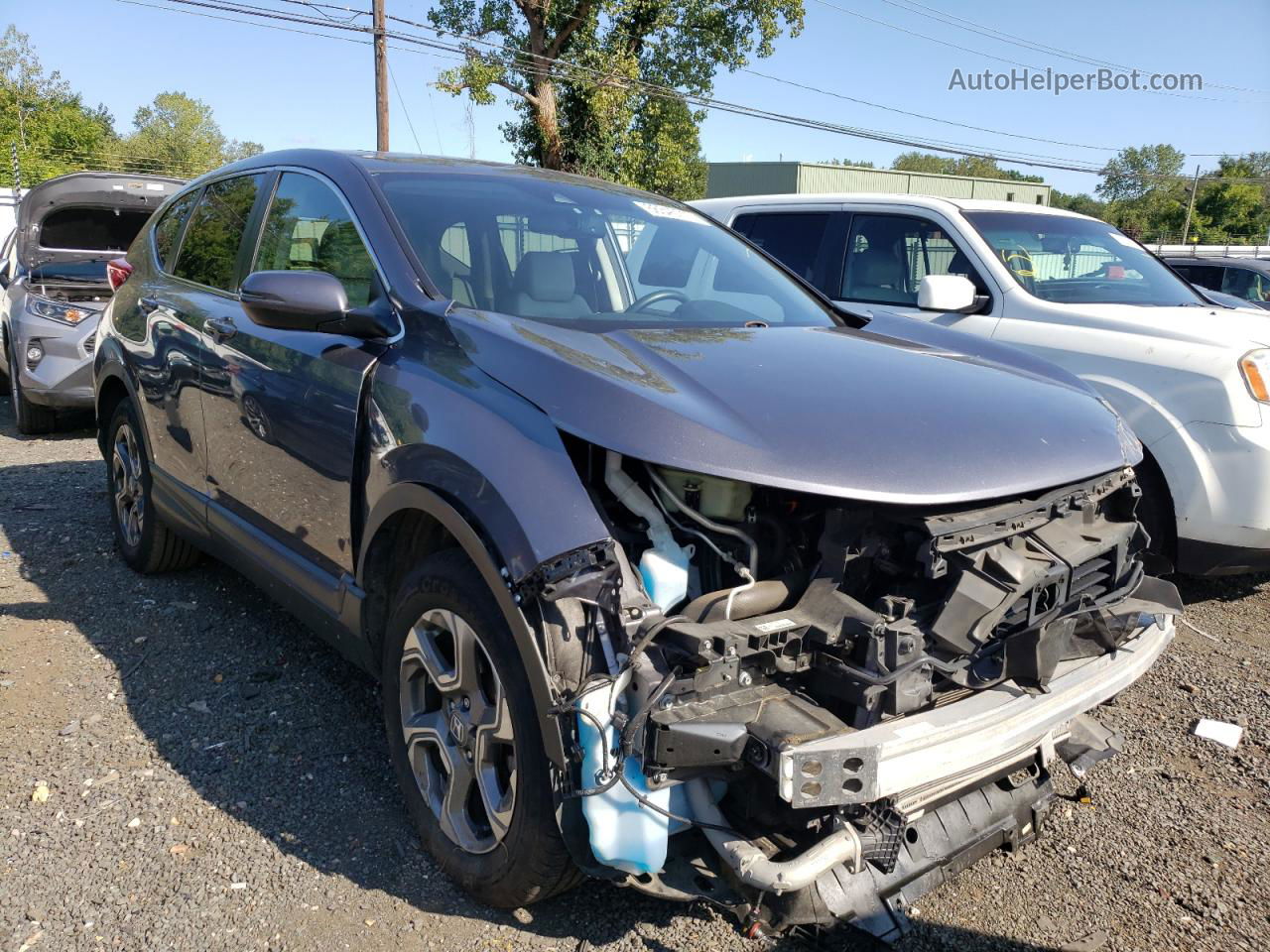 2017 Honda Cr-v Exl Gray vin: 5J6RW2H81HL008639