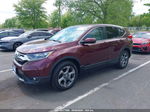 2019 Honda Cr-v Ex-l Maroon vin: 5J6RW2H81KL026971