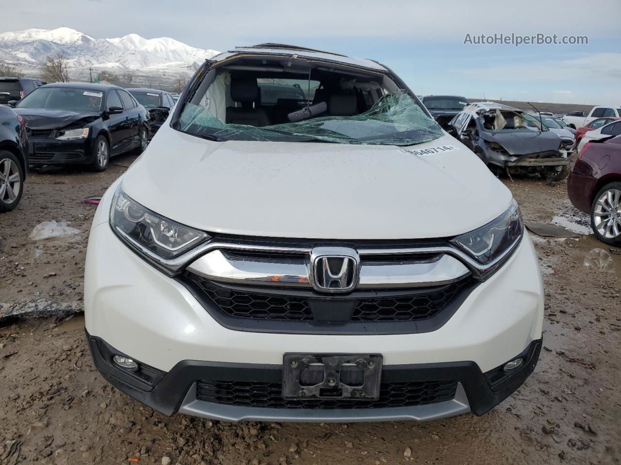 2019 Honda Cr-v Exl Белый vin: 5J6RW2H84KL029993