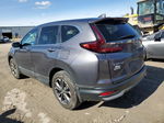 2020 Honda Cr-v Exl Gray vin: 5J6RW2H84LL038615