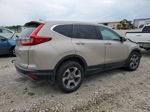 2018 Honda Cr-v Exl Beige vin: 5J6RW2H86JL019108