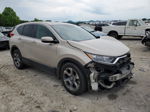 2018 Honda Cr-v Exl Beige vin: 5J6RW2H86JL019108