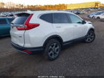 2019 Honda Cr-v Ex-l Белый vin: 5J6RW2H86KA005674