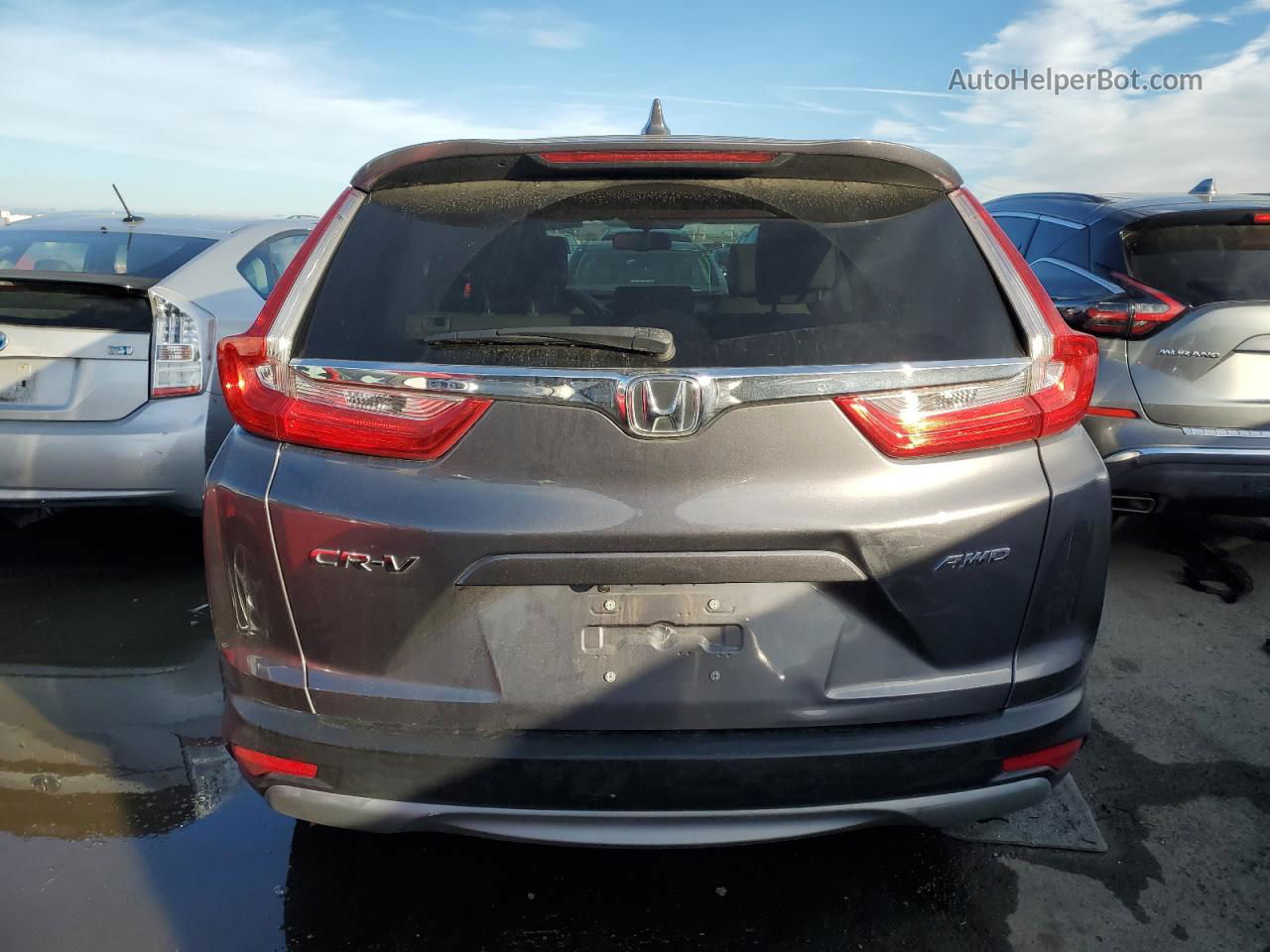 2019 Honda Cr-v Exl Gray vin: 5J6RW2H86KA019302