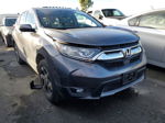 2019 Honda Cr-v Exl Gray vin: 5J6RW2H86KA019302