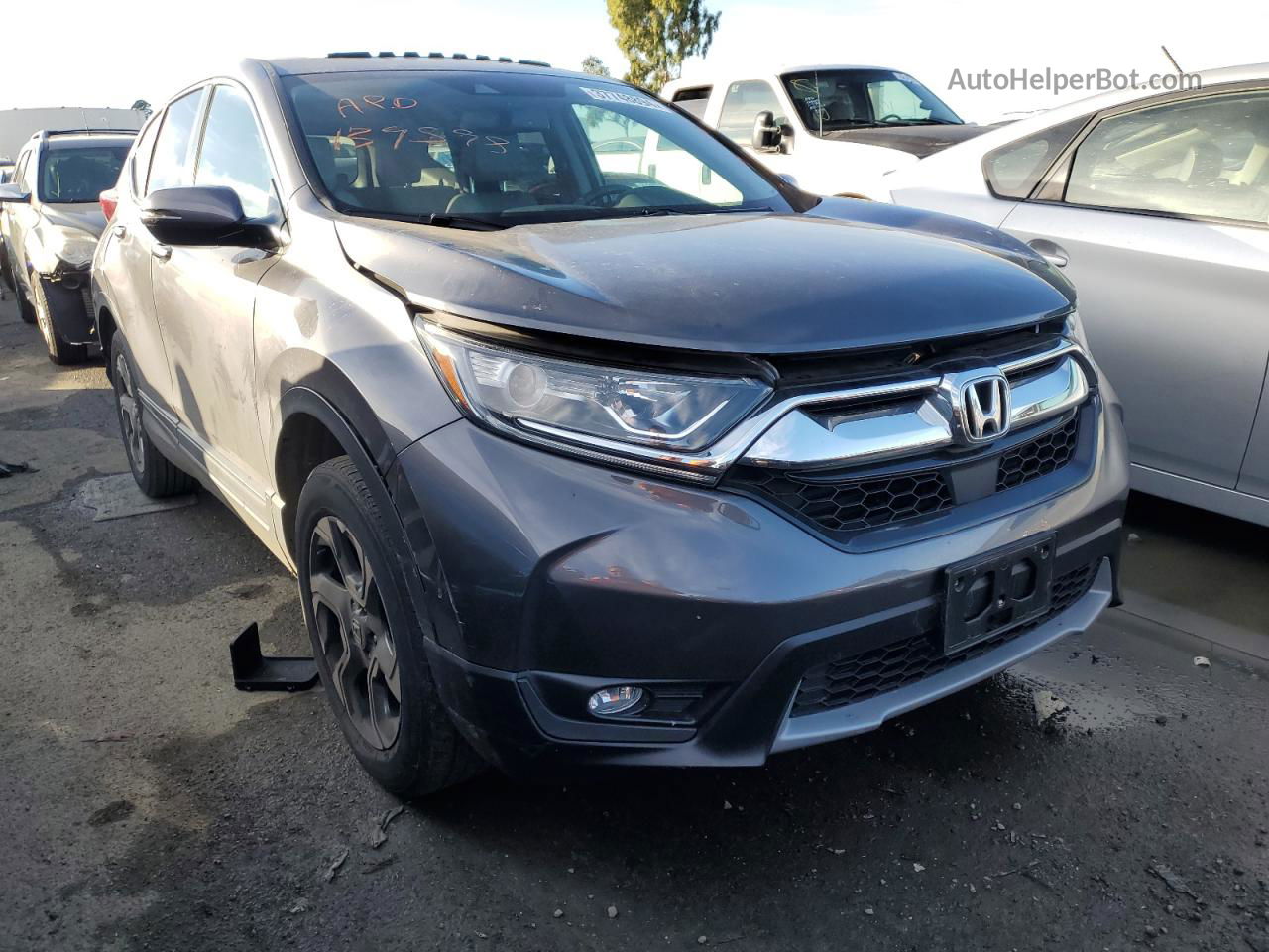 2019 Honda Cr-v Exl Gray vin: 5J6RW2H86KA019302