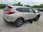 2018 Honda Cr-v Exl Бежевый vin: 5J6RW2H87JL016296